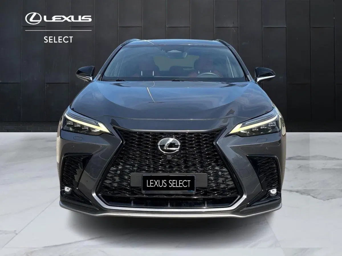 Lexus NX usata a Venezia (7)