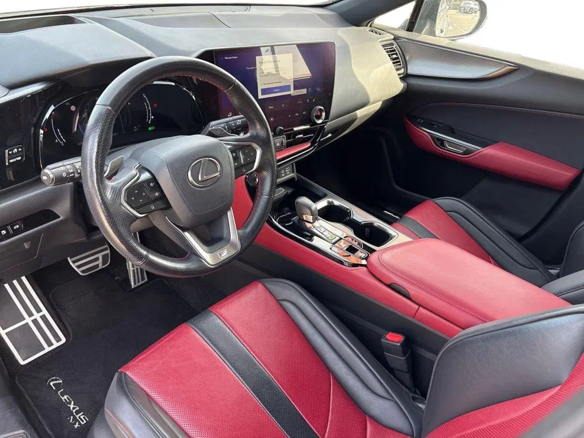 Lexus NX usata a Venezia (9)
