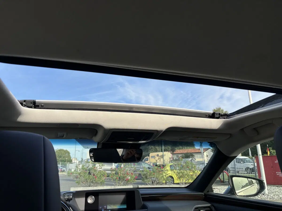 Lexus ES usata a Venezia (14)