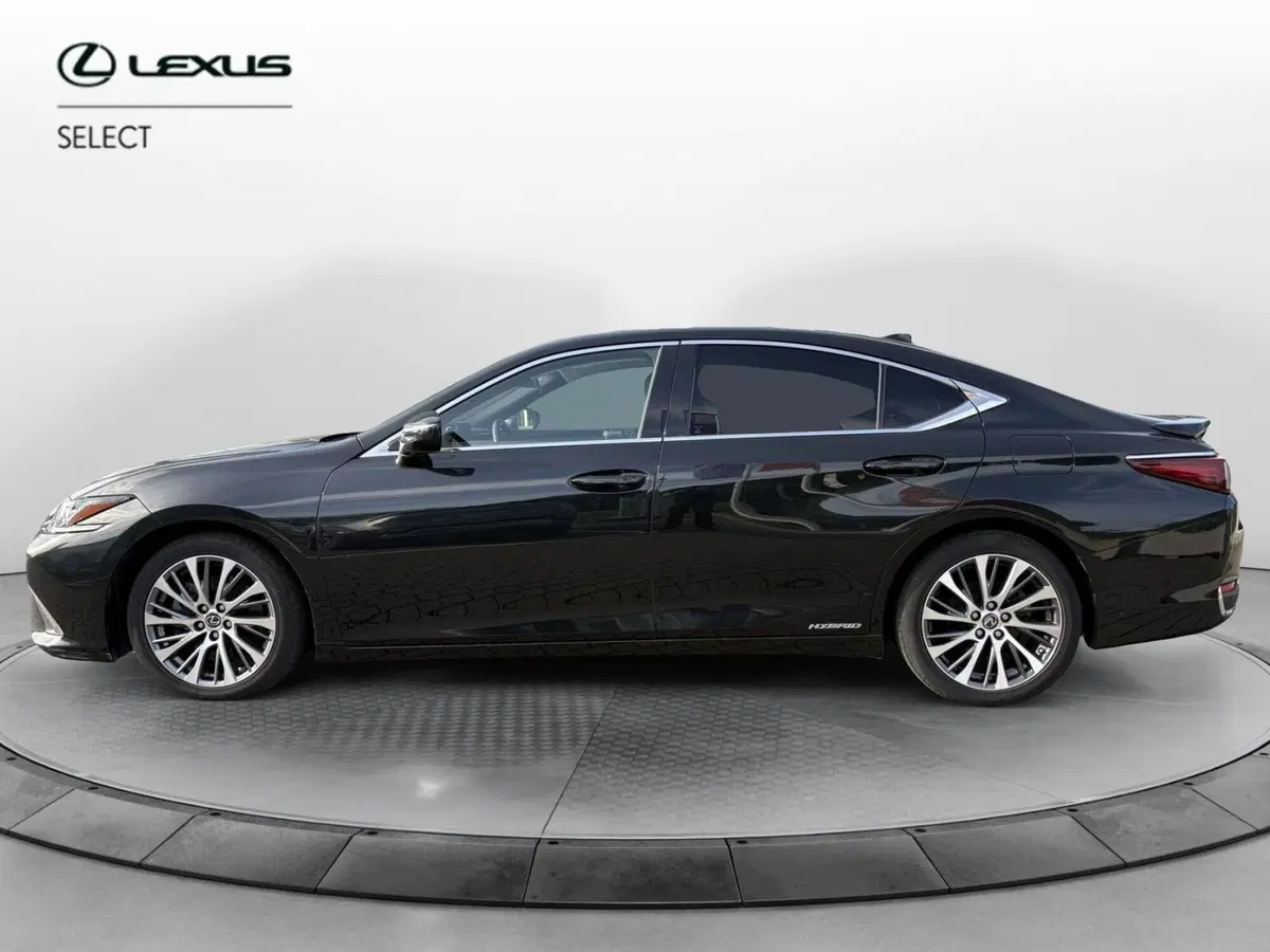 Lexus ES usata a Venezia (4)