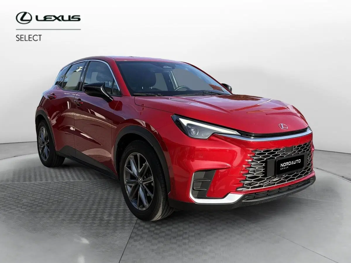 Lexus LBX usata a Venezia (2)