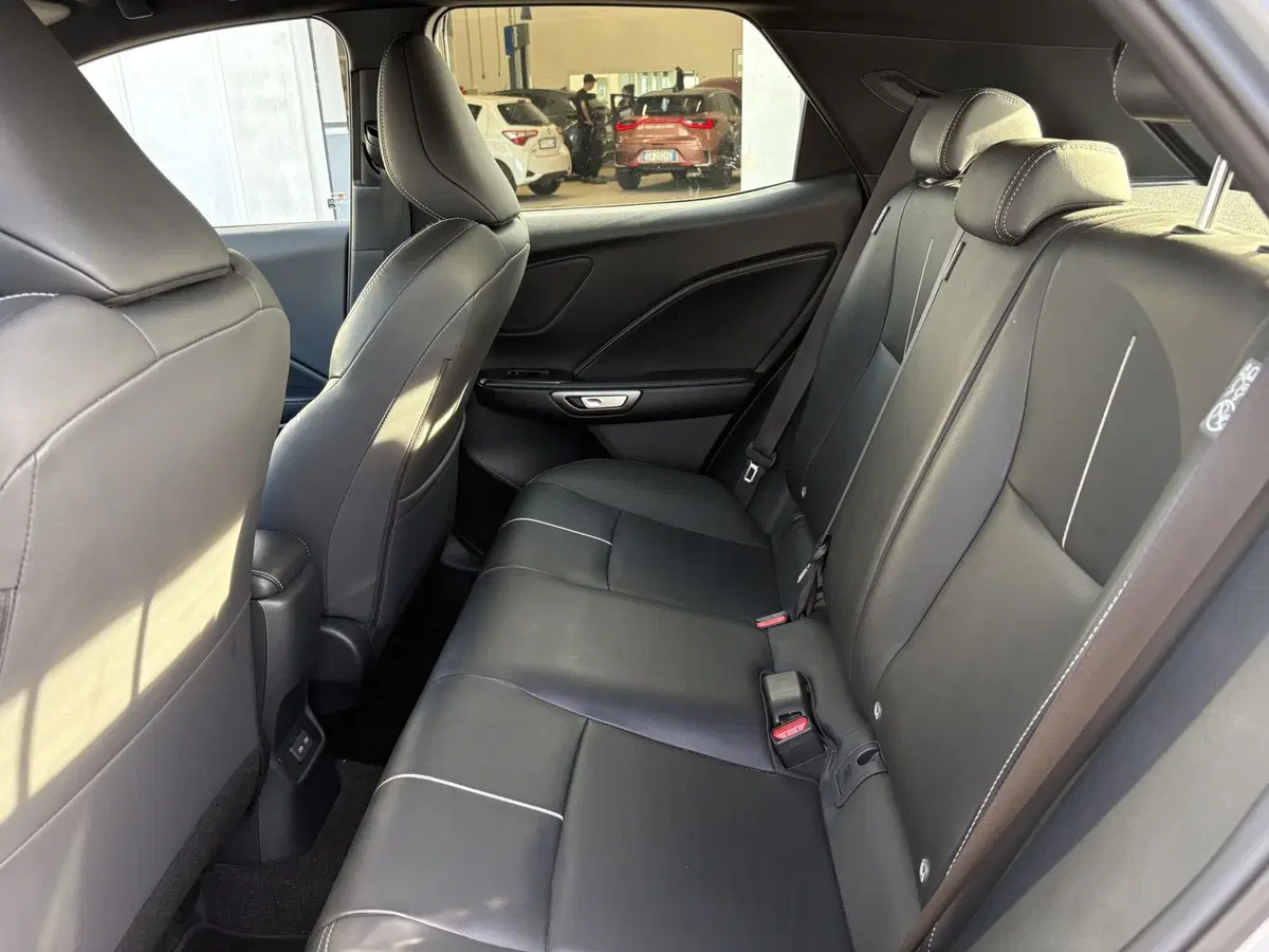Lexus LBX usata a Venezia (7)