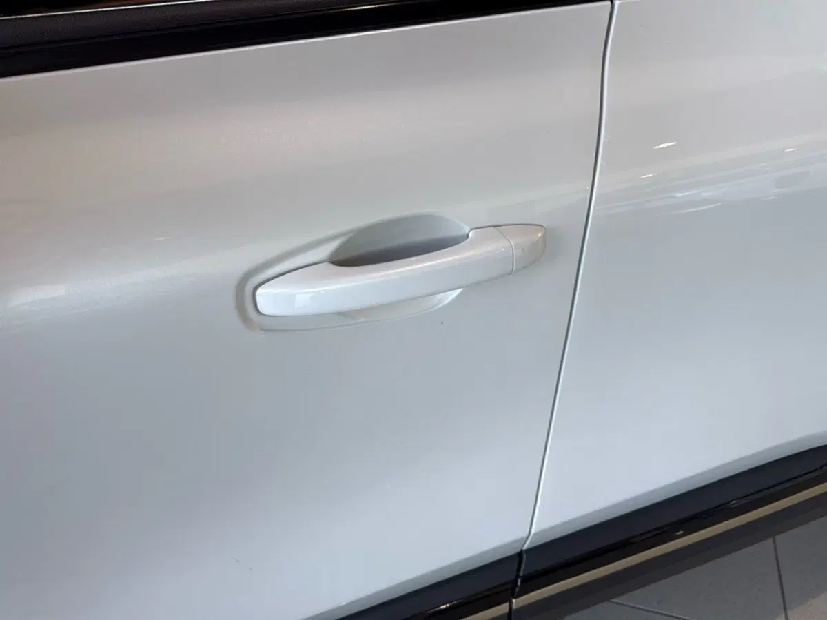 Renault Arkana usata a Bologna (10)