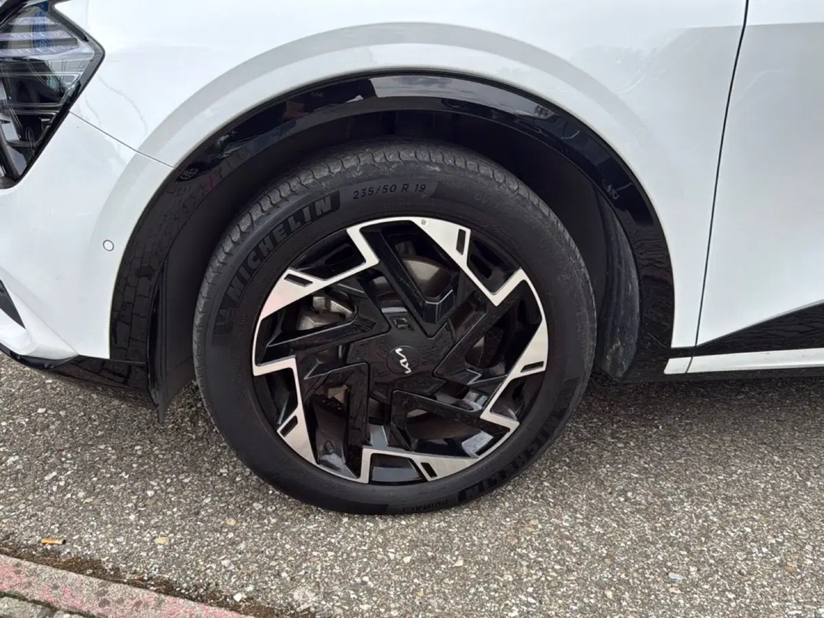 Kia Sportage usata a Ravenna (9)
