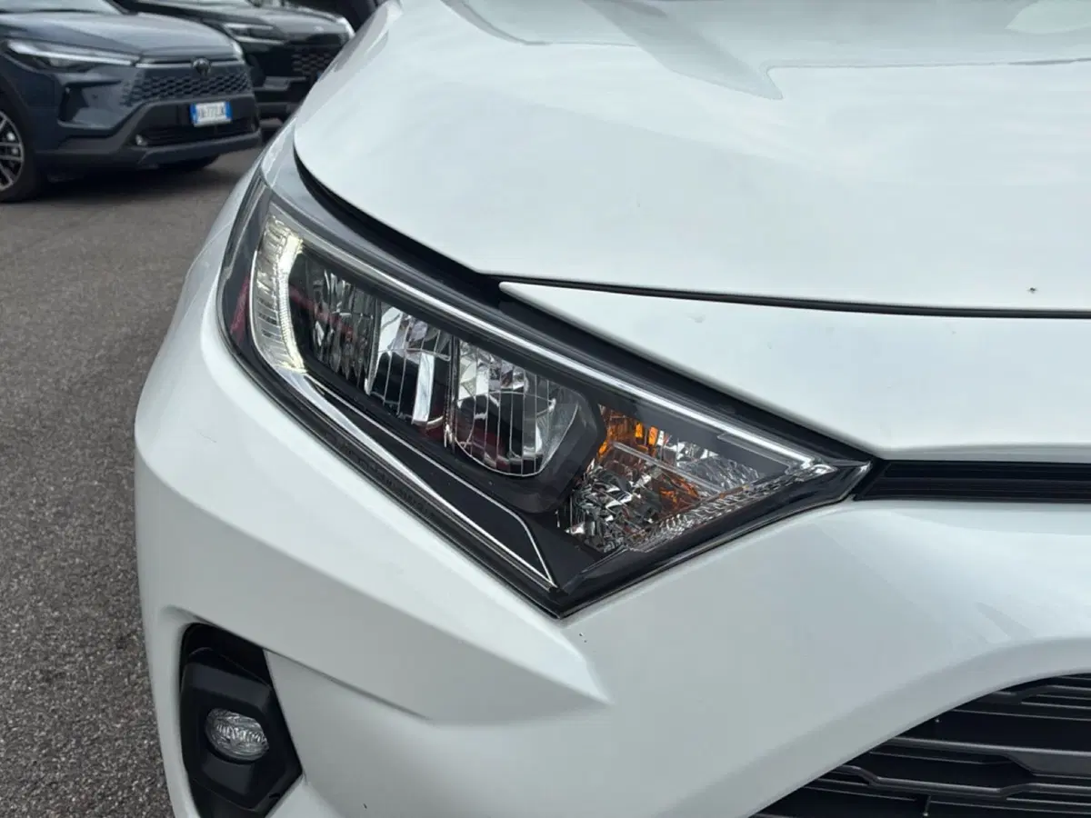 Toyota Rav4 usata a Mantova (11)