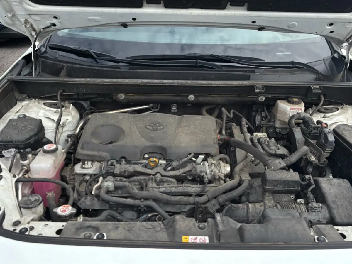 Toyota Rav4 usata a Mantova (16)