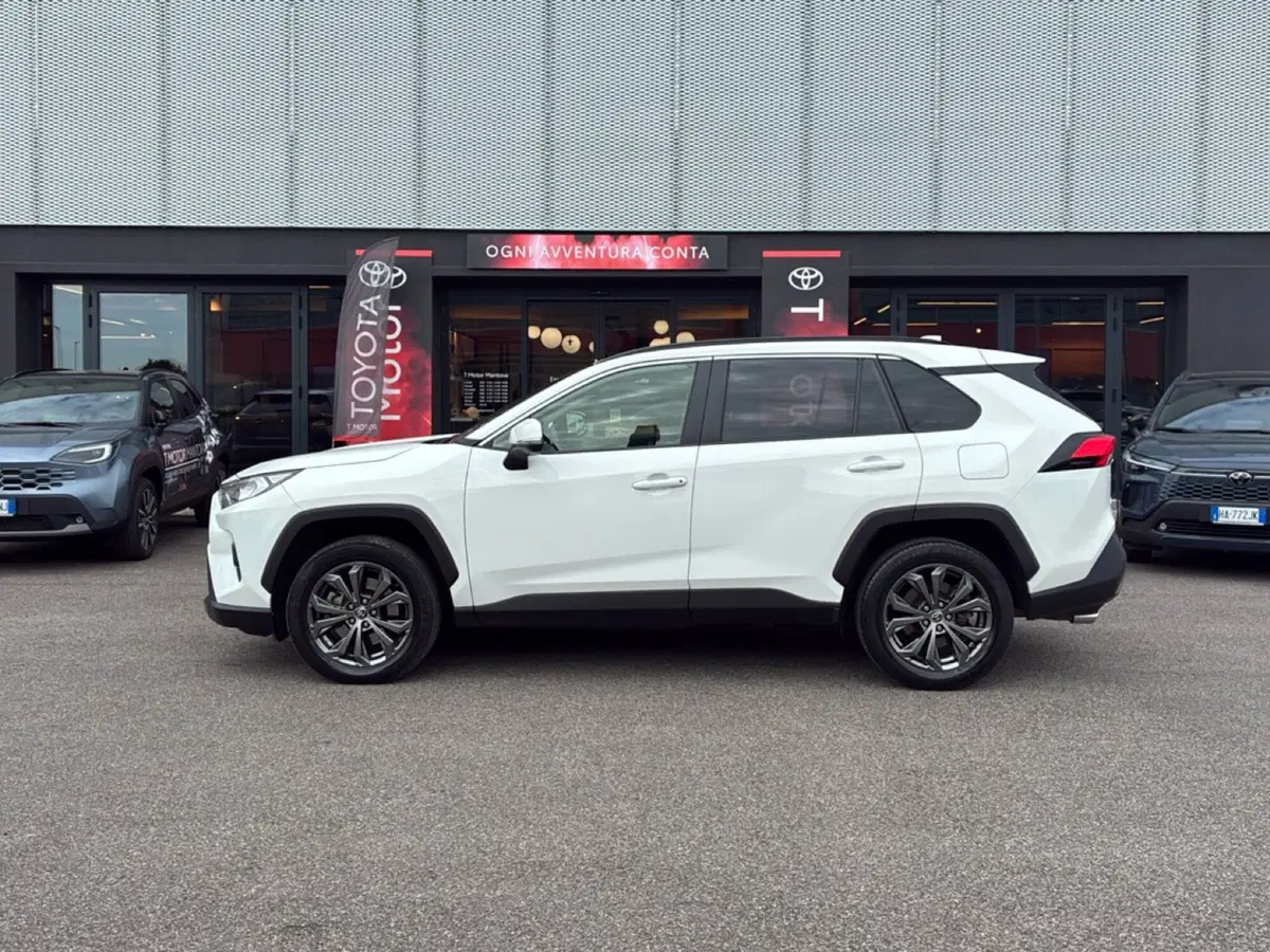 Toyota Rav4 usata a Mantova (2)