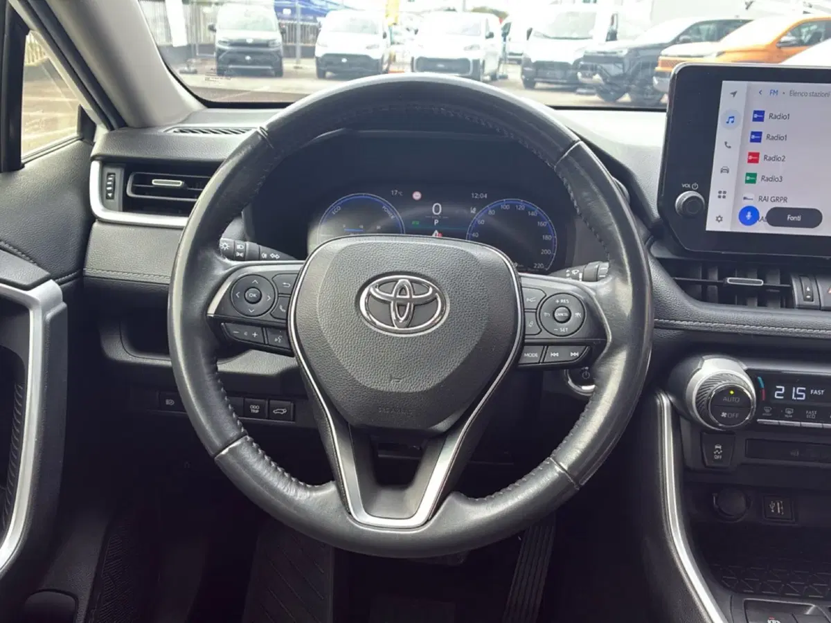 Toyota Rav4 usata a Mantova (20)