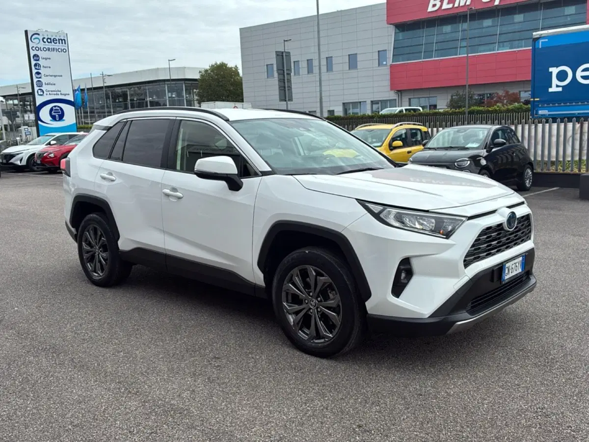 Toyota Rav4 usata a Mantova (7)
