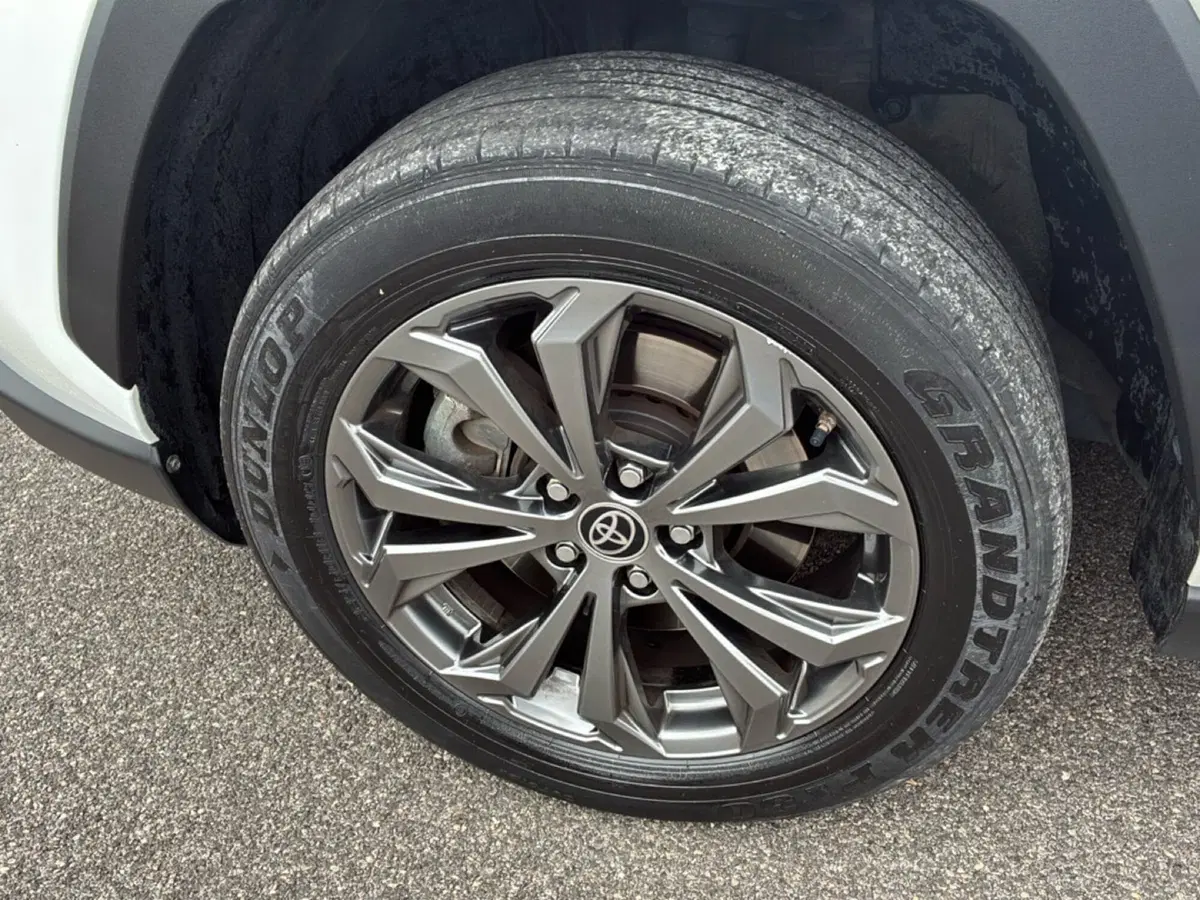 Toyota Rav4 usata a Mantova (9)