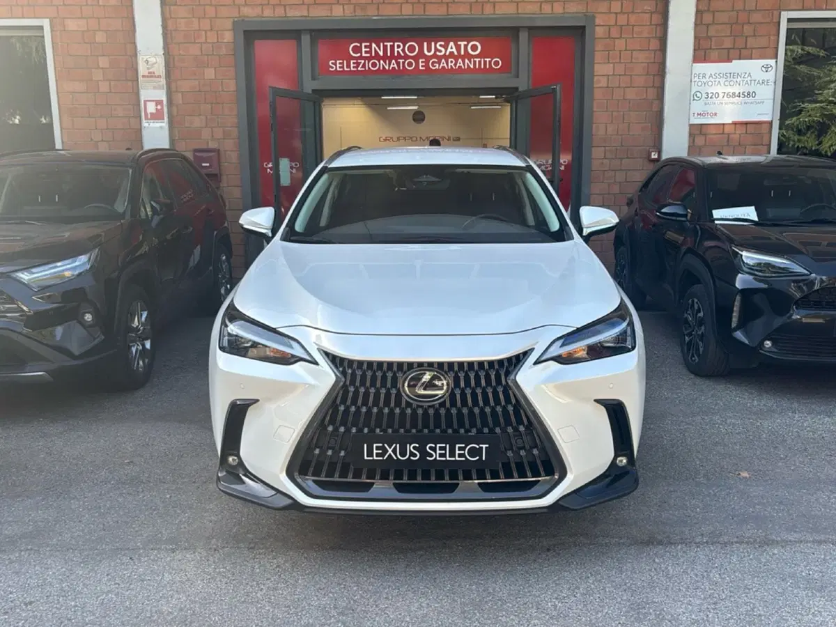 Lexus NX usata a Bologna