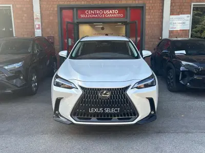 Lexus NX Hybrid 4WD Premium del 2023 usata a San Lazzaro di Savena