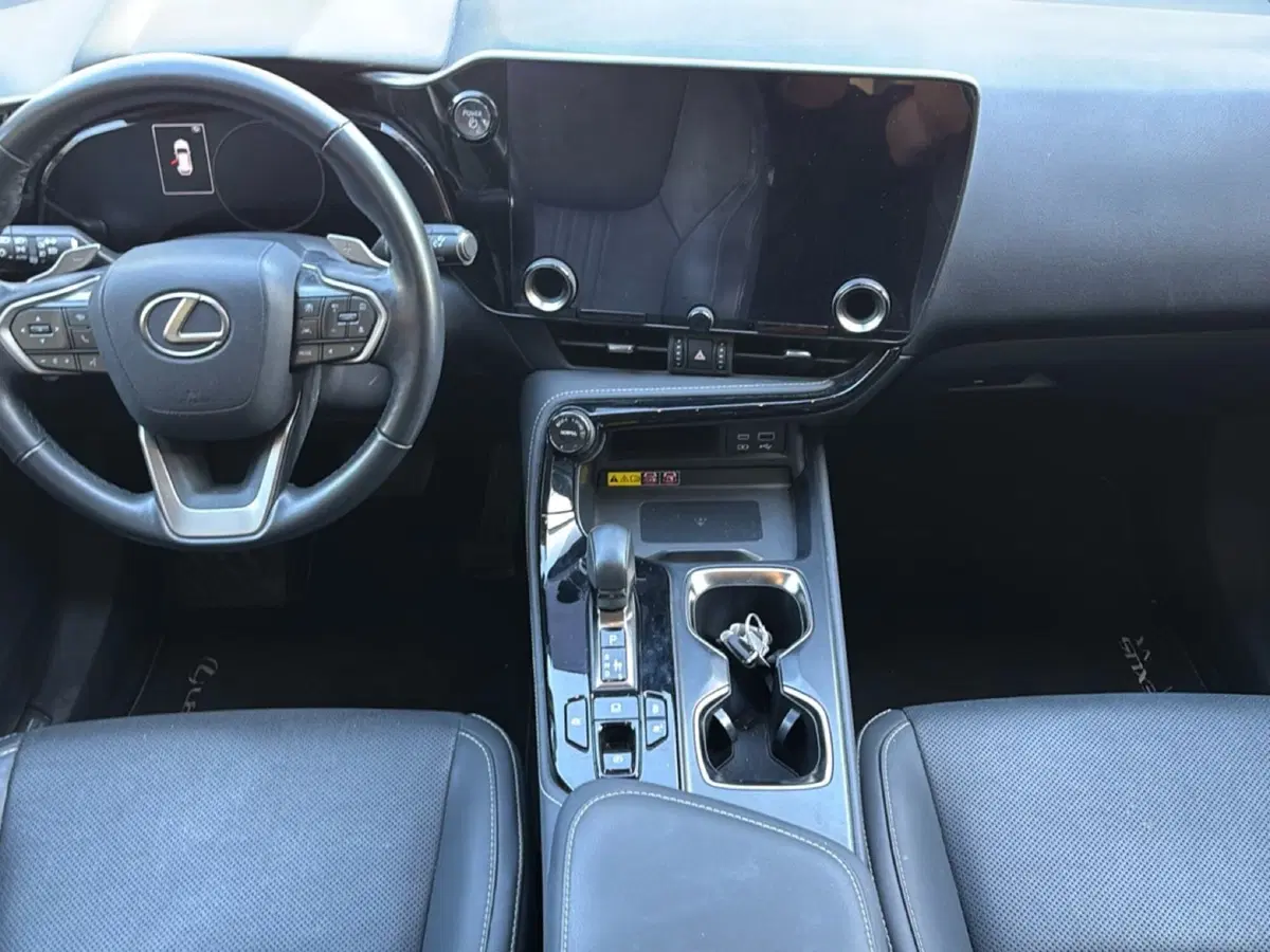 Lexus NX usata a Bologna (10)