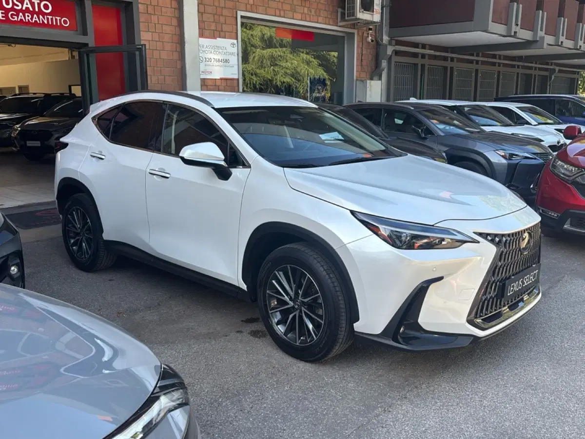 Lexus NX usata a Bologna (2)