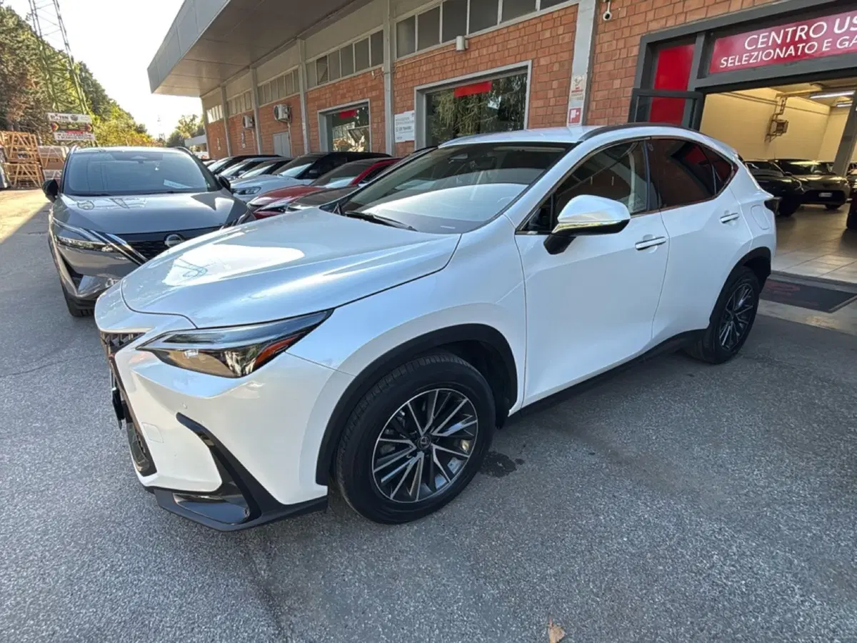 Lexus NX usata a Bologna (3)