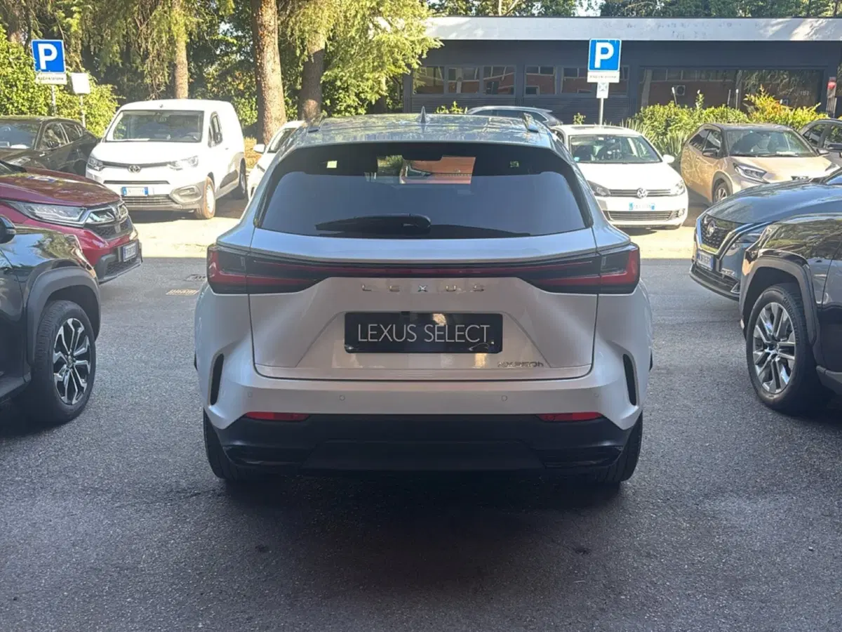 Lexus NX usata a Bologna (4)