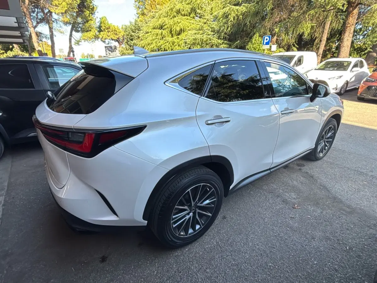 Lexus NX usata a Bologna (5)