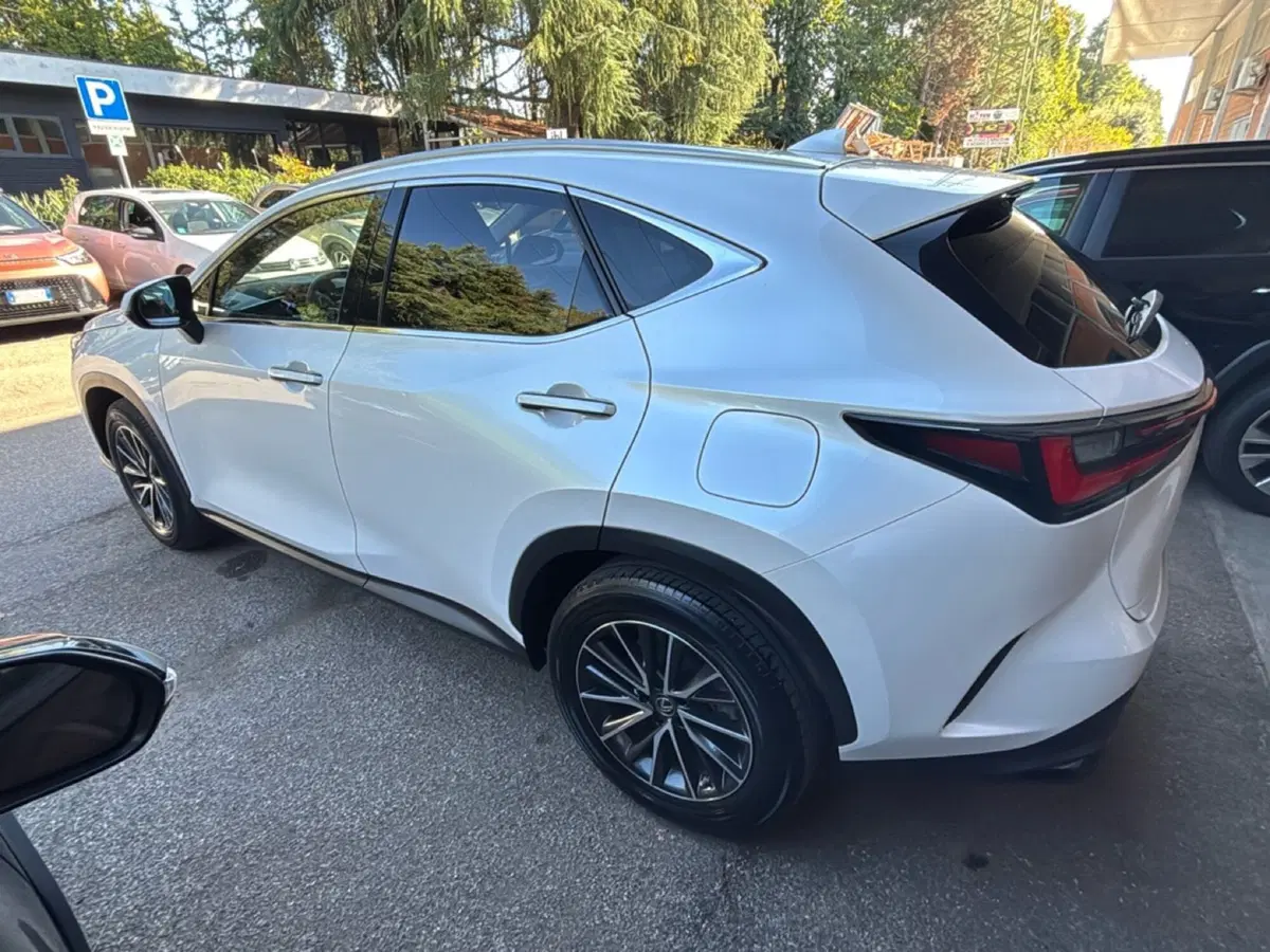 Lexus NX usata a Bologna (6)