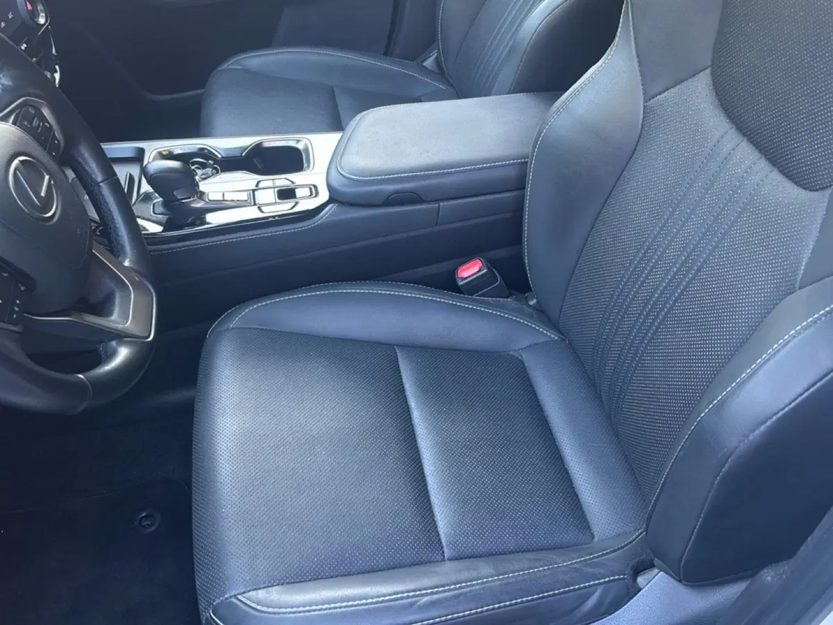 Lexus NX usata a Bologna (8)