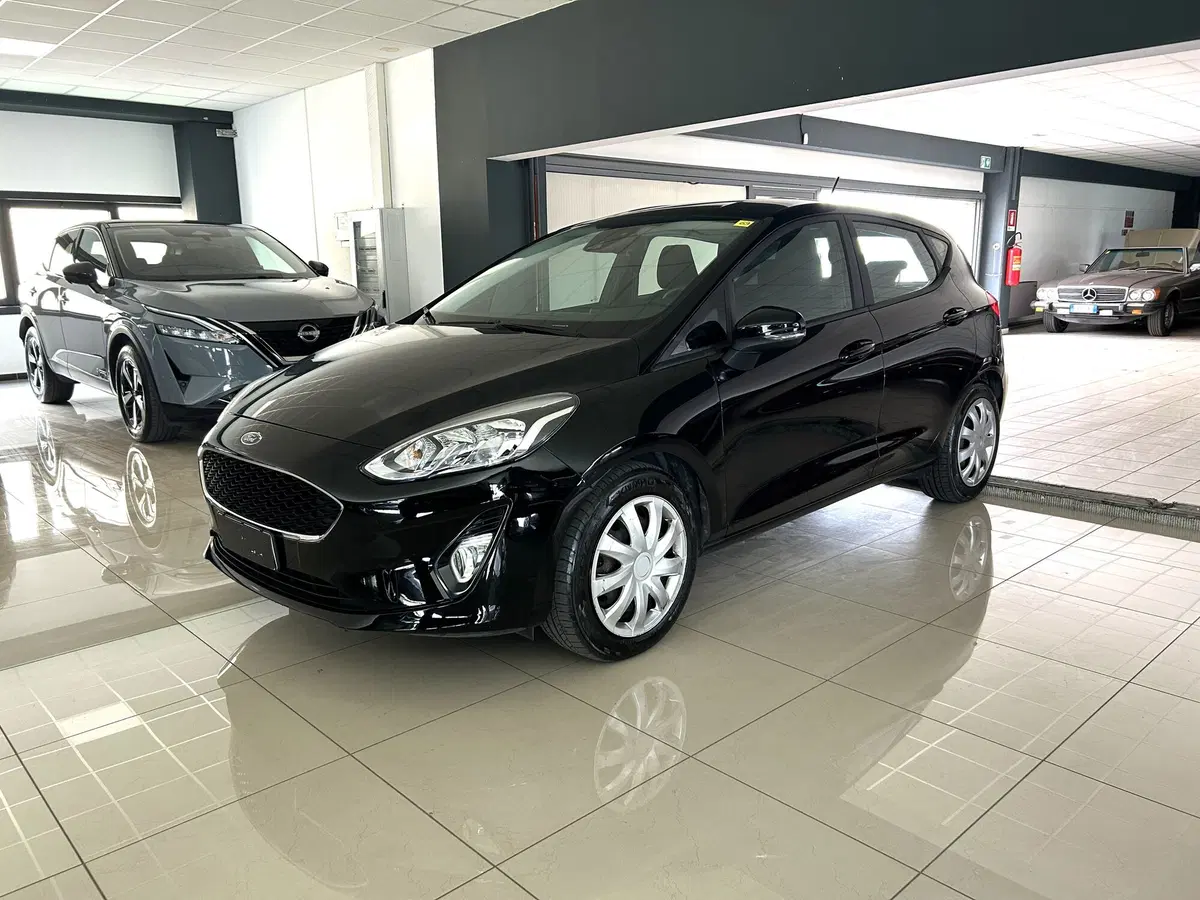 Ford Fiesta usata a Ferrara
