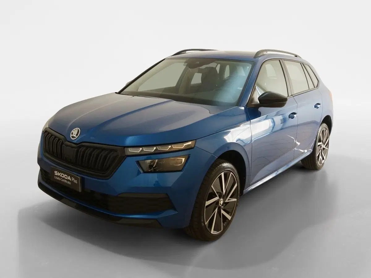 Skoda Kamiq usata a Torino (3)