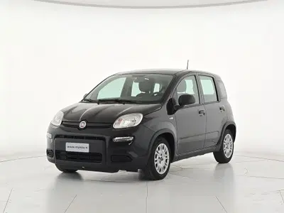 Fiat Panda Cross Cross 1.0 FireFly S&S Hybrid del 2024 usata a Borgo San Dalmazzo