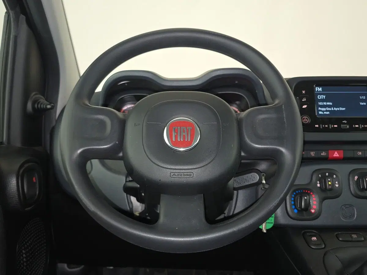 Fiat Panda Cross usata a Cuneo (10)