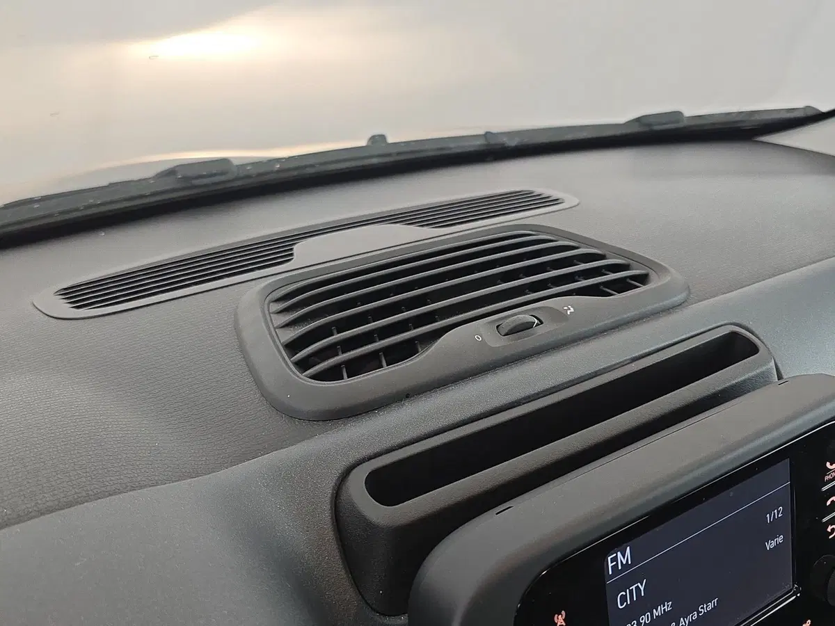 Fiat Panda Cross usata a Cuneo (14)