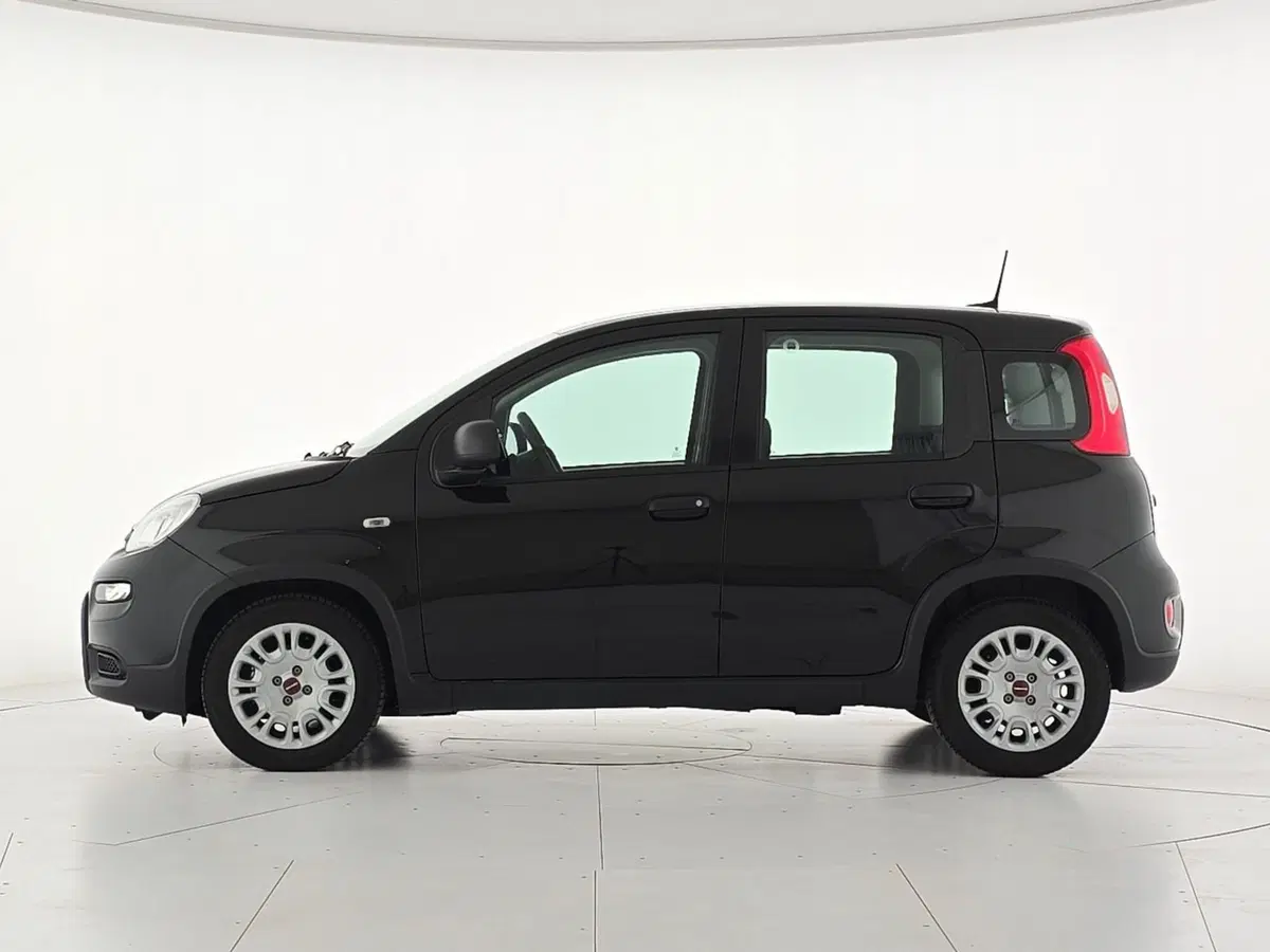 Fiat Panda Cross usata a Cuneo (3)