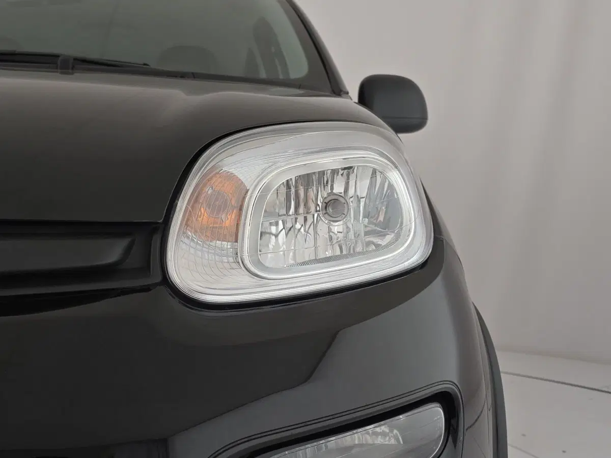 Fiat Panda Cross usata a Cuneo (6)