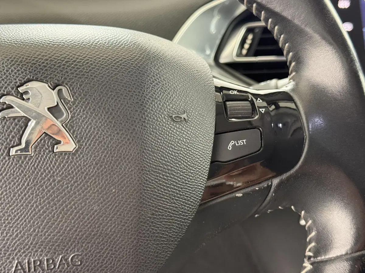 Peugeot 308 SW usata a Perugia (11)