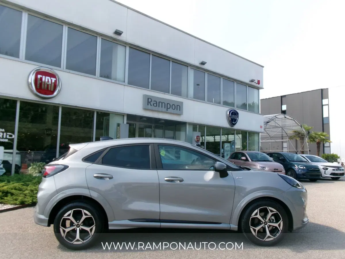 Ford Puma usata a Venezia (2)