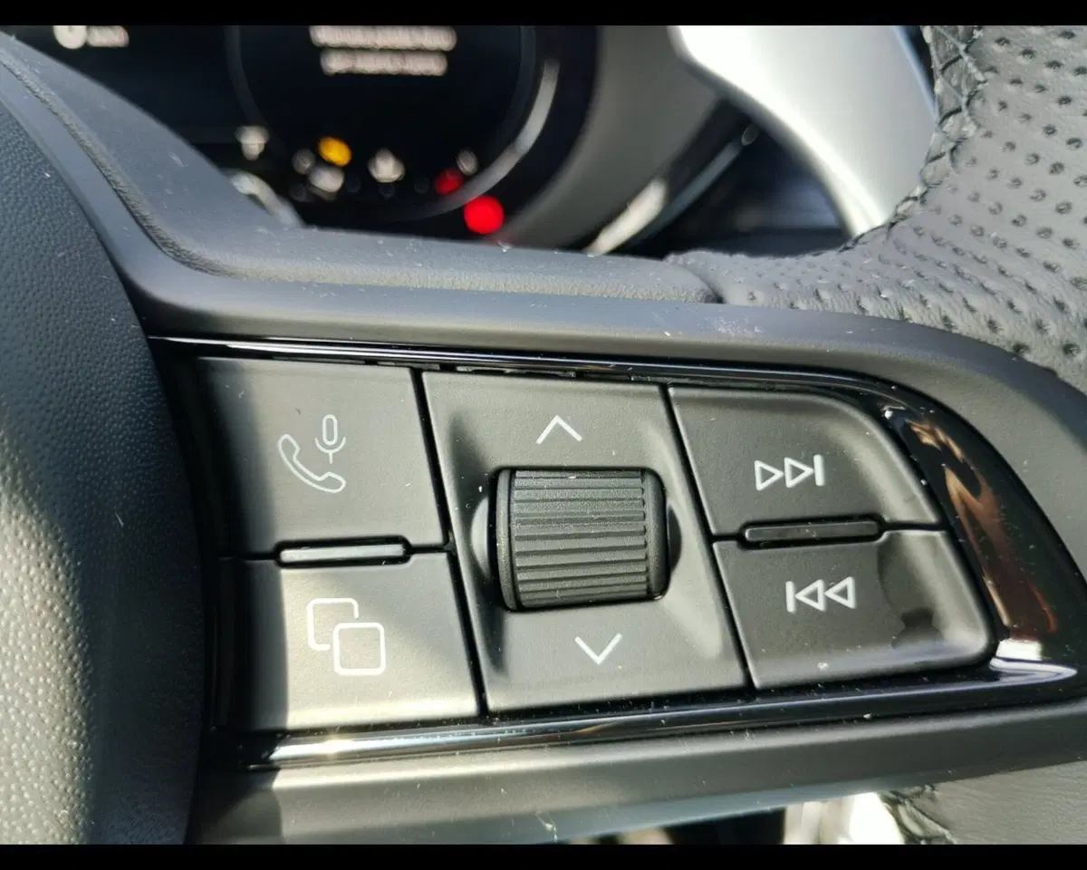 Alfa Romeo Tonale nuova a Ravenna (17)