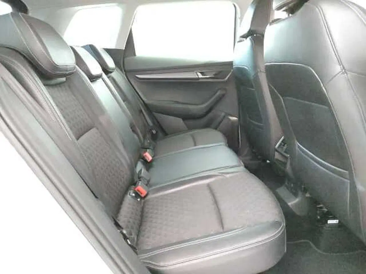 Skoda Karoq usata a Teramo (14)