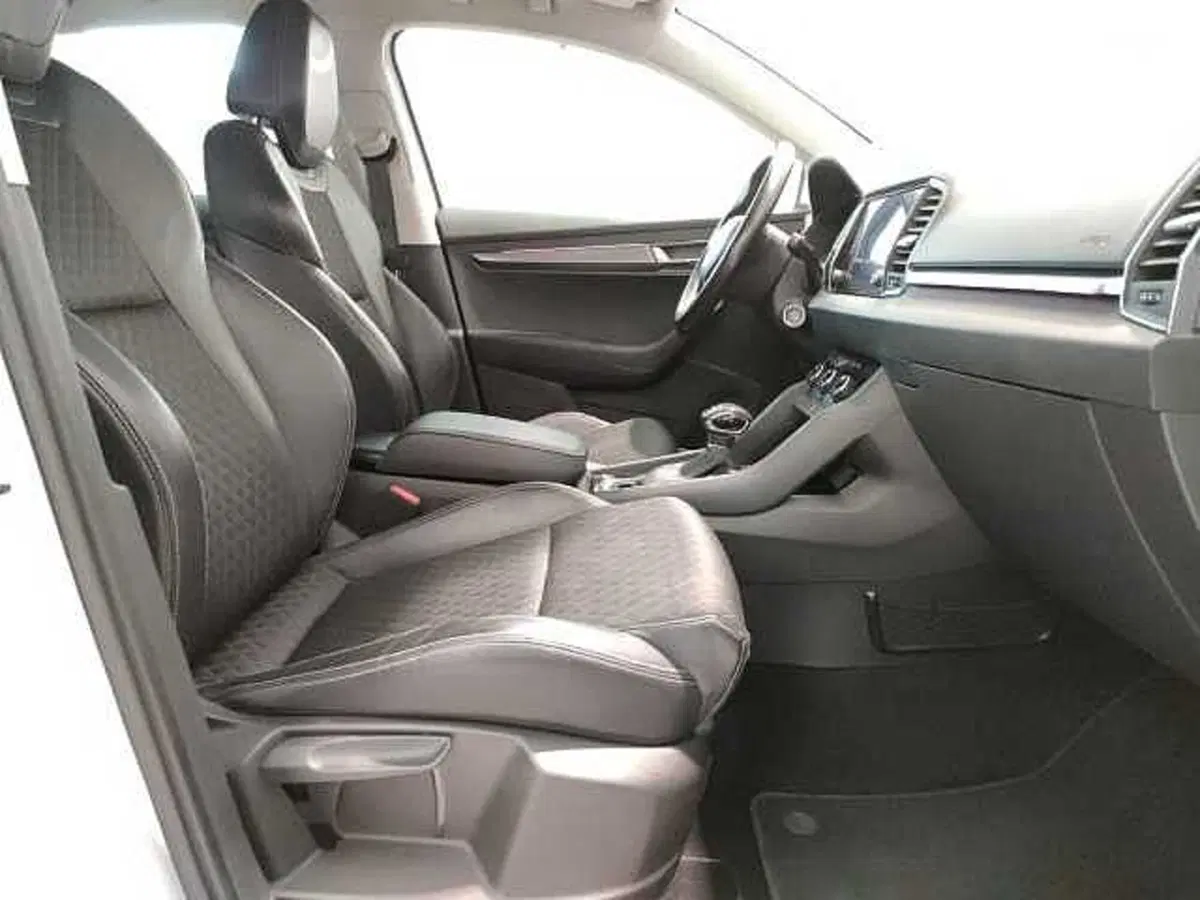 Skoda Karoq usata a Teramo (15)