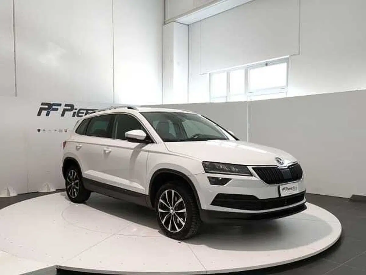 Skoda Karoq usata a Teramo (6)