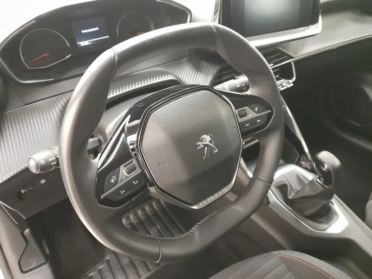 Peugeot 208 usata a Alessandria (12)