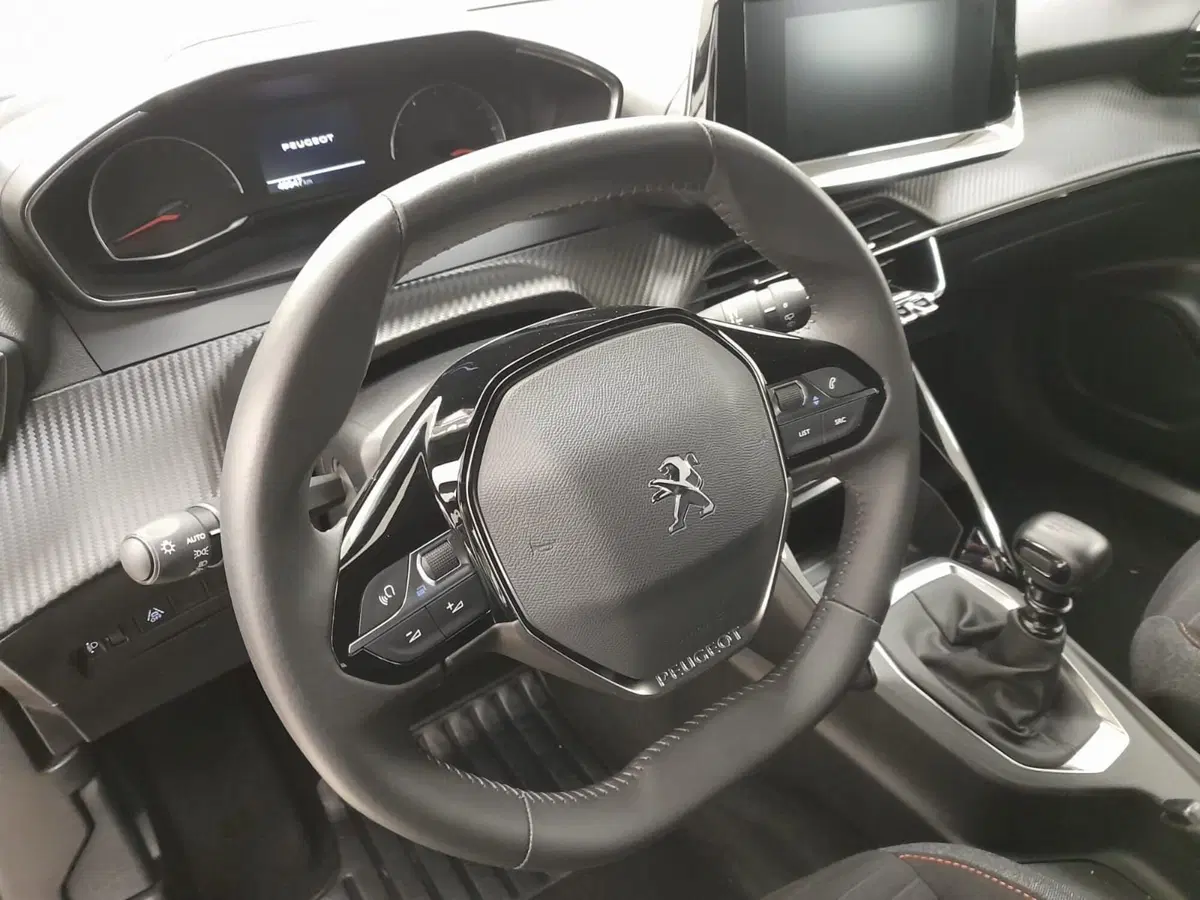 Peugeot 2008 usata a Alessandria (10)