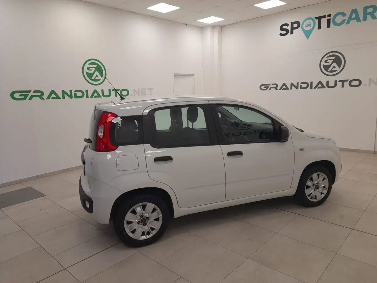 Fiat Panda usata a Alessandria (6)