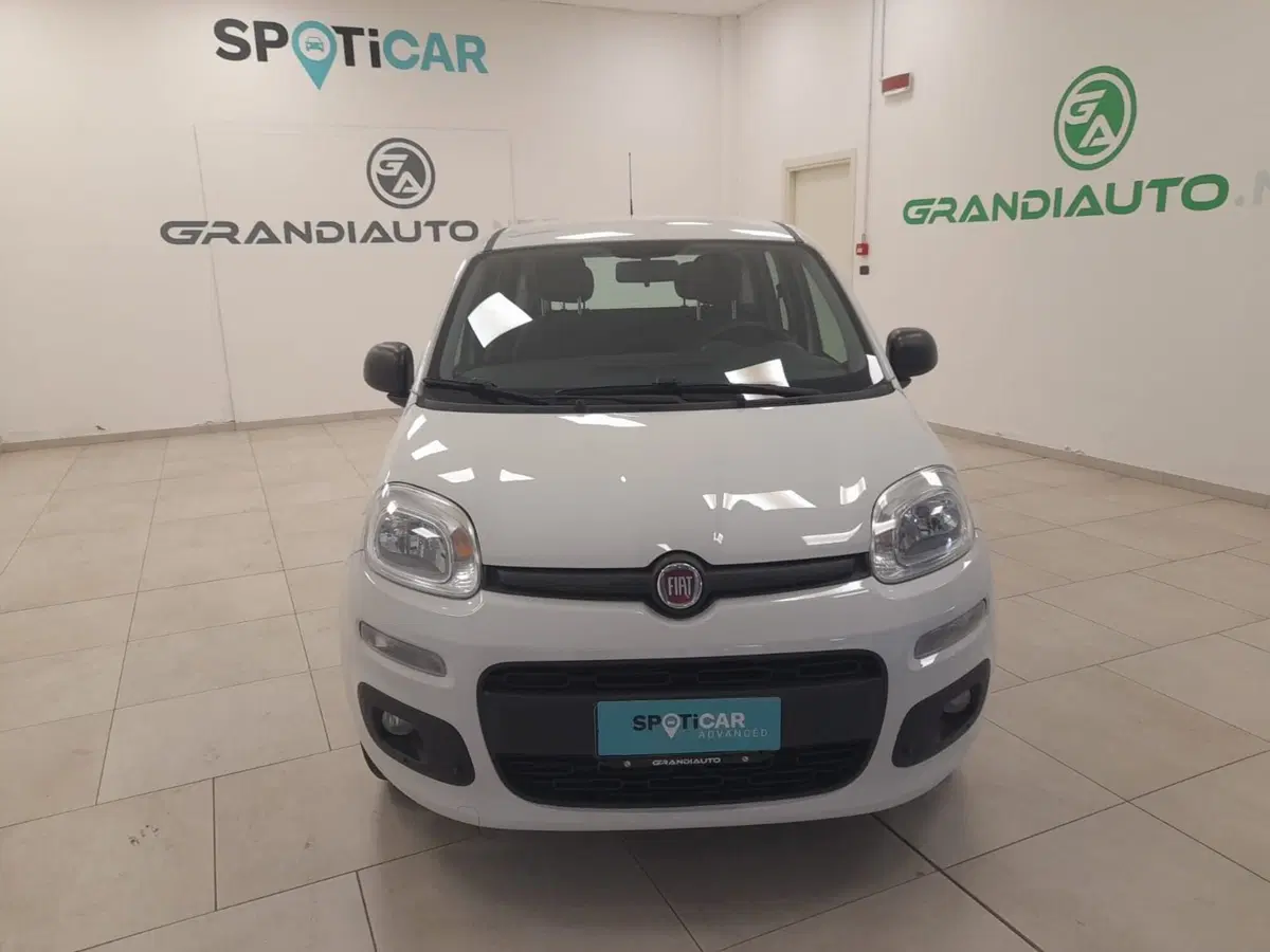 Fiat Panda usata a Alessandria (7)