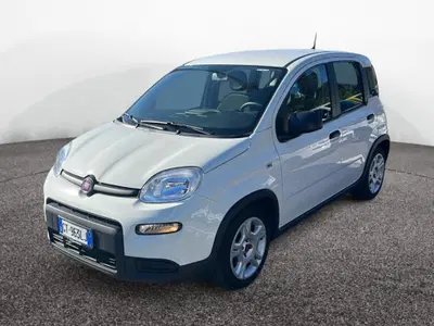 Fiat Panda 1.0 firefly hybrid s&s 70cv 5p.ti del 2024 usata a Roma