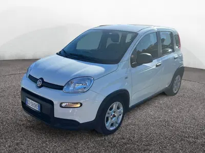 Fiat Panda 1.0 firefly hybrid s&s 70cv 5p.ti del 2024 usata a Roma
