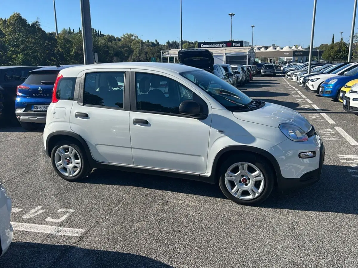 Fiat Panda usata a Roma (6)