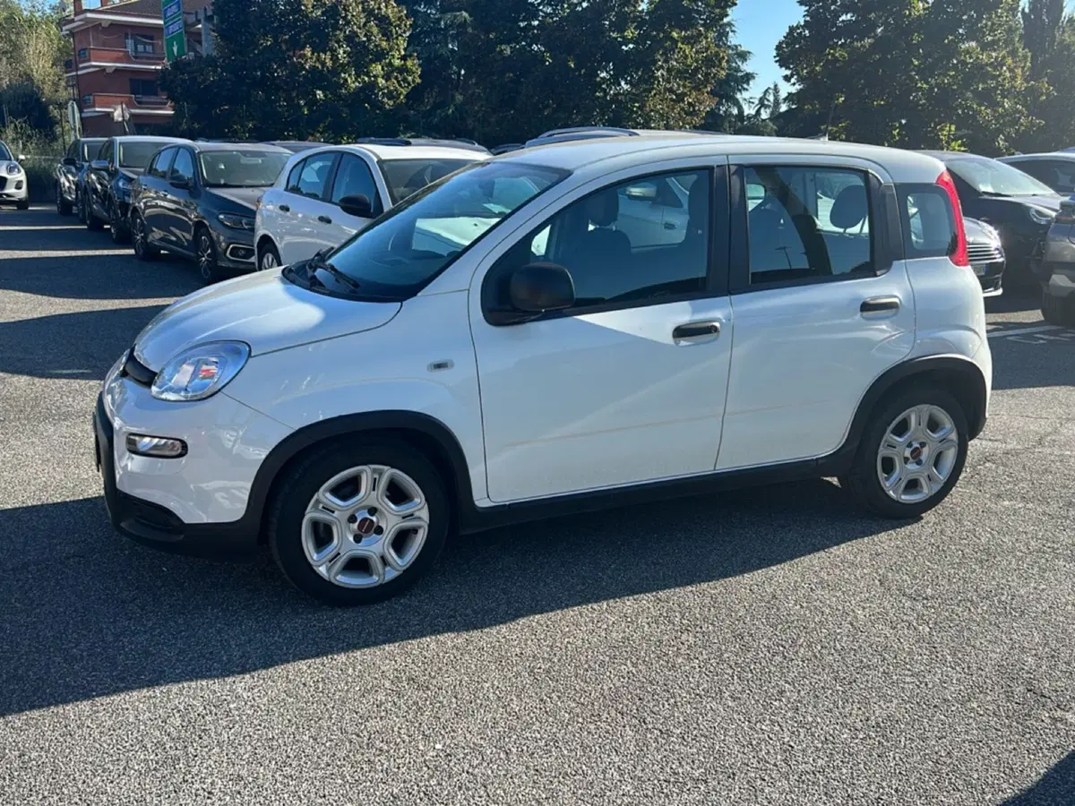 Fiat Panda usata a Roma (8)