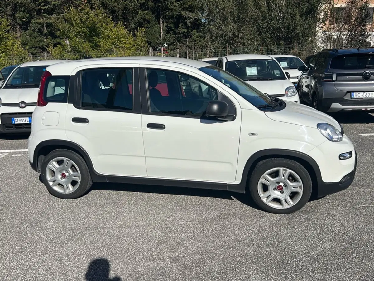 Fiat Panda usata a Roma (6)