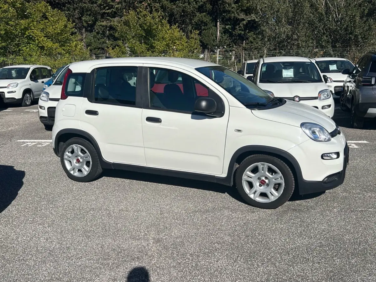 Fiat Panda usata a Roma (6)