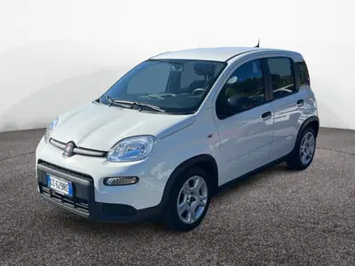 Fiat Panda 1.0 firefly hybrid s&s 70cv 5p.ti del 2024 usata a Roma