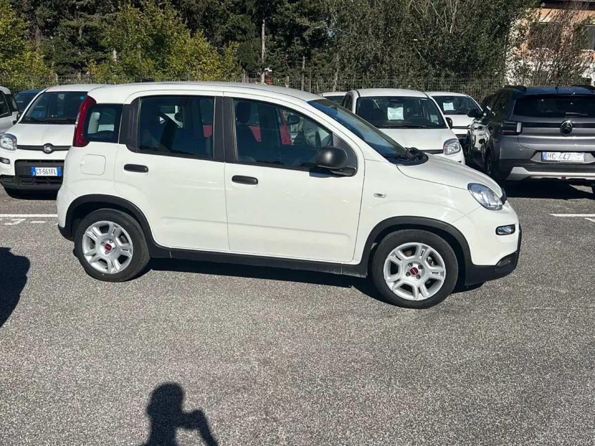 Fiat Panda usata a Roma (6)