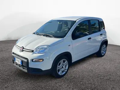 Fiat Panda 1.0 firefly hybrid s&s 70cv 5p.ti del 2024 usata a Roma