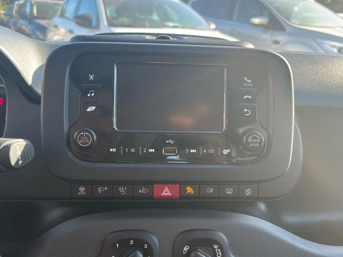 Fiat Panda usata a Roma (16)